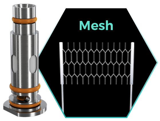 EN 0.6Ω Coil