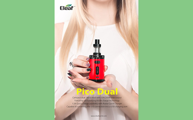 pico_dual_02