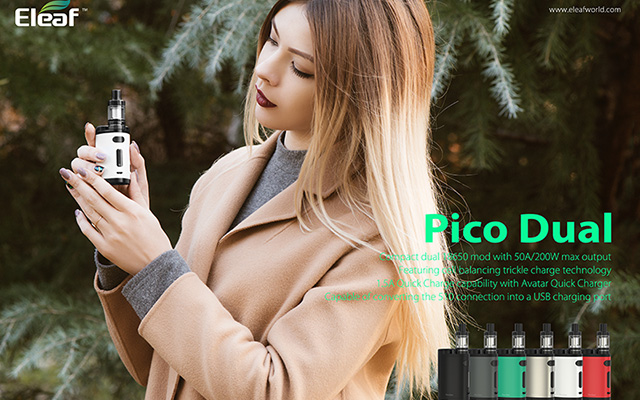 pico_dual_03